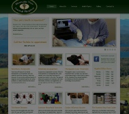 Mountain View Website