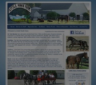 Little Hawk Farm Website